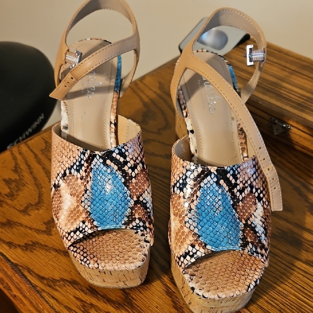 Charles David Tan and Blue Platform Shoes